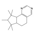 Ambertonic™ (IFF)